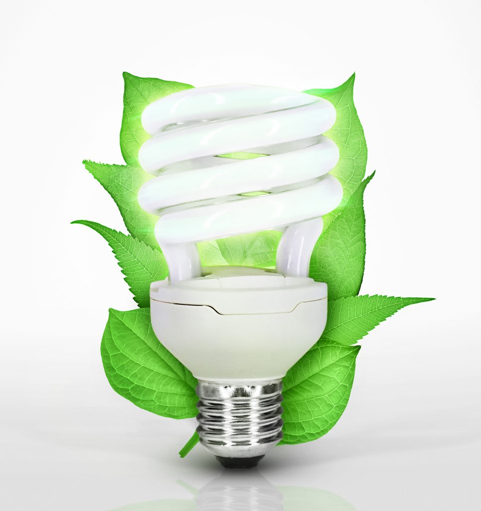 Ampoule écologique basse consommation Professionnel